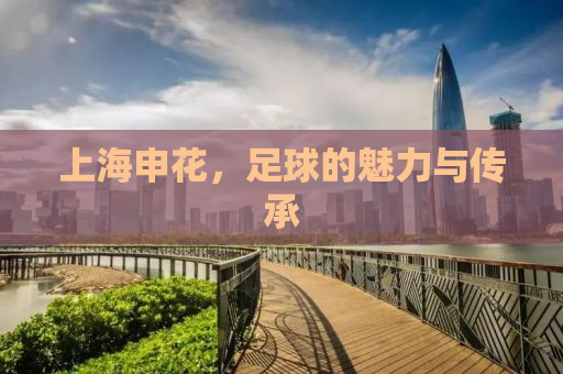 上海申花，足球的魅力与传承