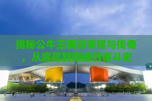 揭秘公牛王朝的荣耀与传奇，从底层到巅峰的奋斗史
