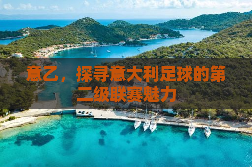 意乙，探寻意大利足球的第二级联赛魅力