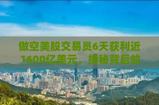 做空美股交易员6天获利近1600亿美元，揭秘背后的策略与风险