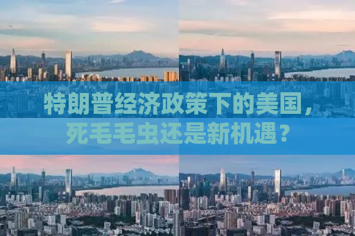 特朗普经济政策下的美国，死毛毛虫还是新机遇？