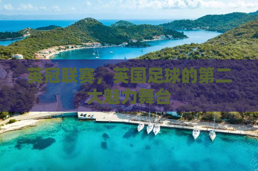 英冠联赛，英国足球的第二大魅力舞台