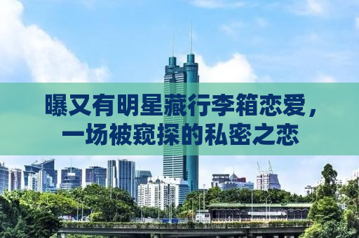 曝又有明星藏行李箱恋爱，一场被窥探的私密之恋