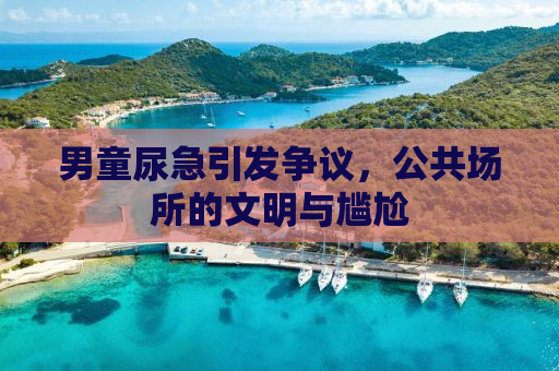 男童尿急引发争议，公共场所的文明与尴尬