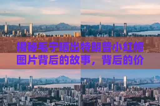 揭秘毛宁晒出特朗普小红帽图片背后的故事，背后的价值引发市场热议，商品价值飙升至77美元