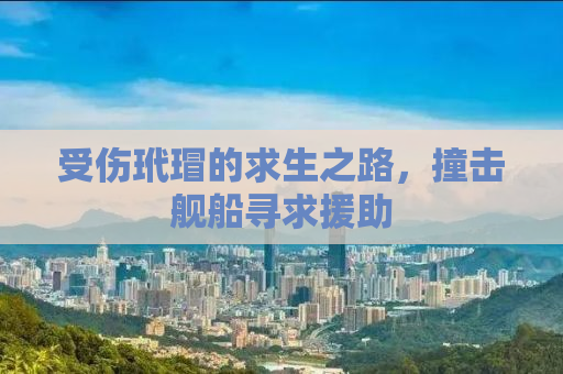 受伤玳瑁的求生之路，撞击舰船寻求援助