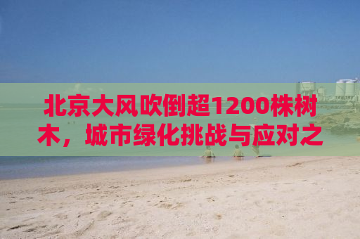 北京大风吹倒超1200株树木，城市绿化挑战与应对之道
