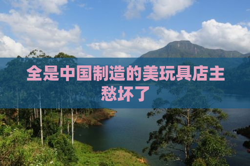 全是中国制造的美玩具店主愁坏了