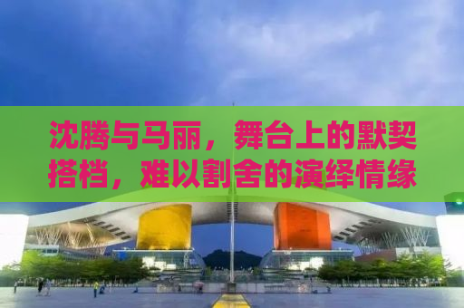 沈腾与马丽，舞台上的默契搭档，难以割舍的演绎情缘