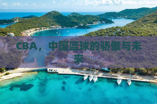 CBA，中国篮球的骄傲与未来