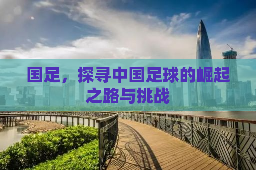 国足，探寻中国足球的崛起之路与挑战