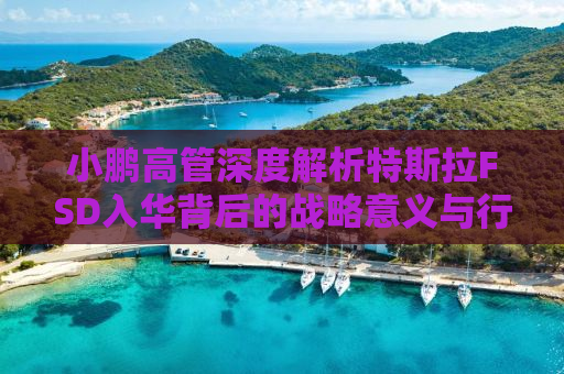 小鹏高管深度解析特斯拉FSD入华背后的战略意义与行业影响