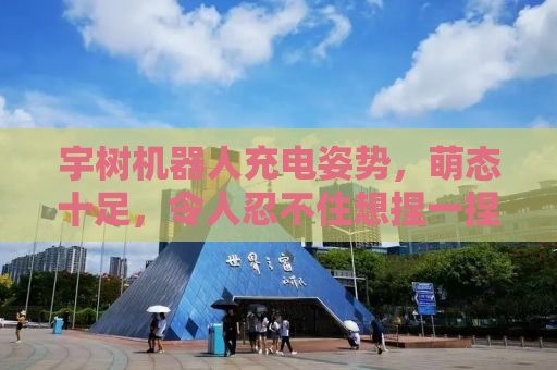 宇树机器人充电姿势，萌态十足，令人忍不住想捏一捏！
