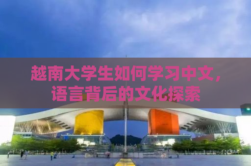 越南大学生如何学习中文，语言背后的文化探索