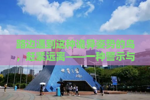 路边遇到这种诡异姿势的鸟，赶紧远离——一种警示与科普的自媒体文章