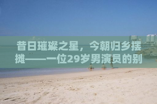 昔日璀璨之星，今朝归乡摆摊——一位29岁男演员的别样人生抉择