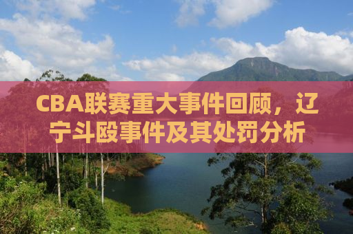 CBA联赛重大事件回顾，辽宁斗殴事件及其处罚分析
