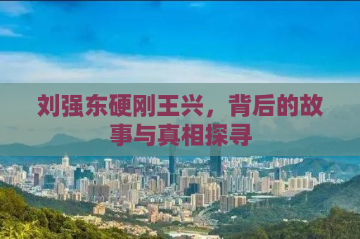 刘强东硬刚王兴，背后的故事与真相探寻