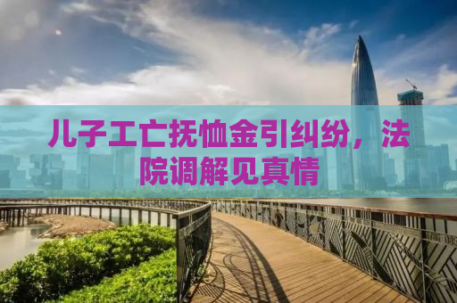 儿子工亡抚恤金引纠纷，法院调解见真情