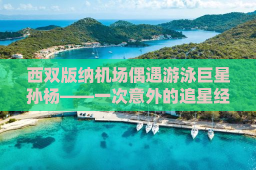 西双版纳机场偶遇游泳巨星孙杨——一次意外的追星经历