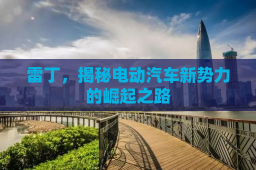雷丁，揭秘电动汽车新势力的崛起之路