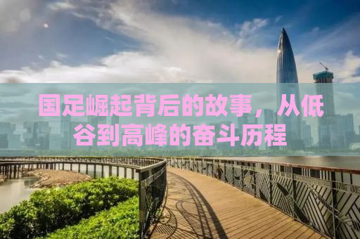 国足崛起背后的故事，从低谷到高峰的奋斗历程