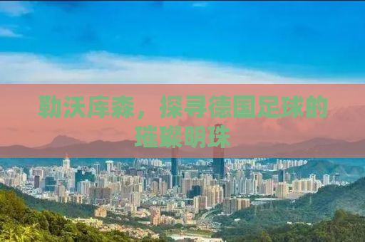 勒沃库森，探寻德国足球的璀璨明珠
