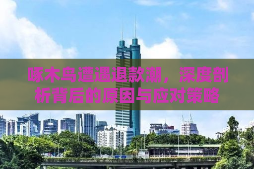 啄木鸟遭遇退款潮，深度剖析背后的原因与应对策略