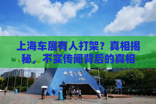 上海车展有人打架？真相揭秘，不实传闻背后的真相