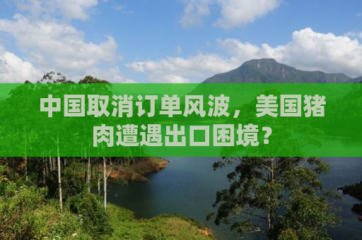 中国取消订单风波，美国猪肉遭遇出口困境？