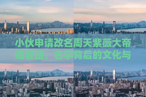 小伙申请改名周天紫薇大帝遭驳回，名字背后的文化与社会考量