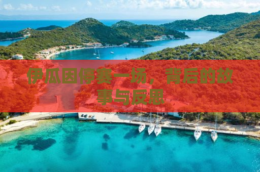 伊瓜因停赛一场，背后的故事与反思