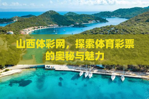 山西体彩网，探索体育彩票的奥秘与魅力