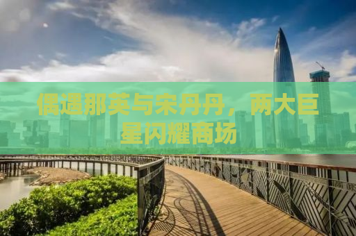 偶遇那英与宋丹丹，两大巨星闪耀商场