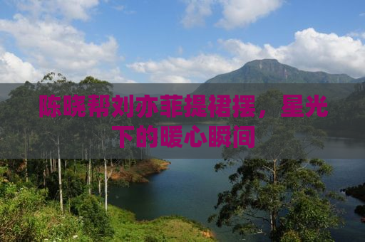 陈晓帮刘亦菲提裙摆，星光下的暖心瞬间