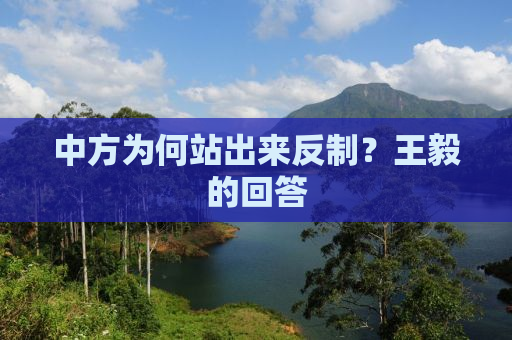 中方为何站出来反制？王毅的回答