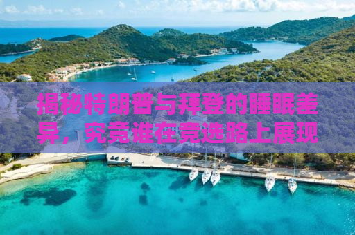 揭秘特朗普与拜登的睡眠差异，究竟谁在竞选路上展现真正的休息能力？