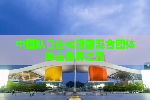 中国队自由式滑雪混合团体冲击金牌之路