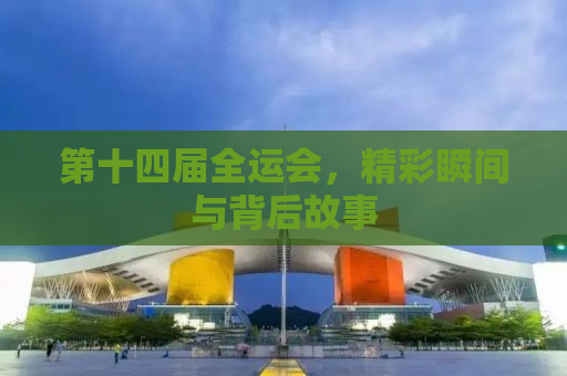 第十四届全运会，精彩瞬间与背后故事