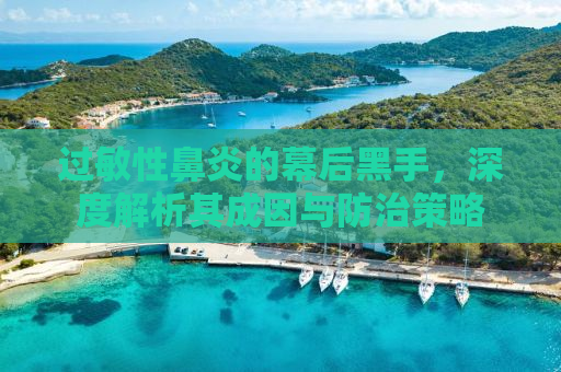过敏性鼻炎的幕后黑手，深度解析其成因与防治策略