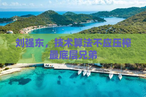 刘强东，技术算法不应压榨最底层兄弟