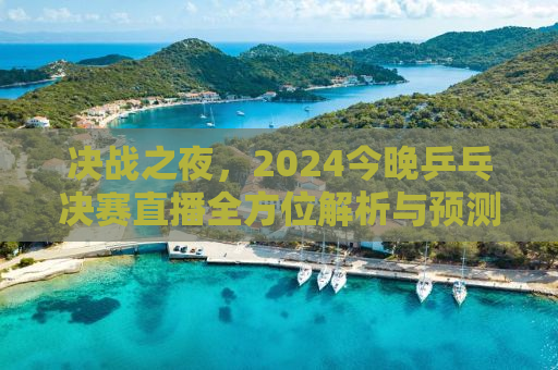 决战之夜，2024今晚乒乓决赛直播全方位解析与预测