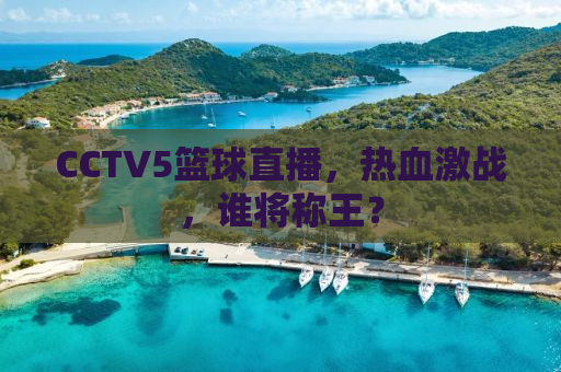 CCTV5篮球直播，热血激战，谁将称王？