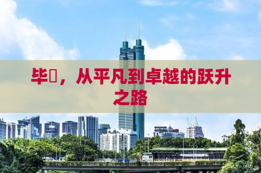 毕焜，从平凡到卓越的跃升之路