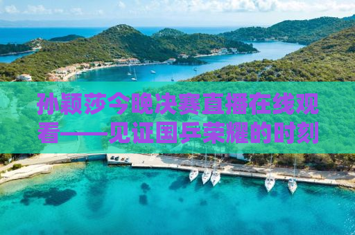 孙颖莎今晚决赛直播在线观看——见证国乒荣耀的时刻