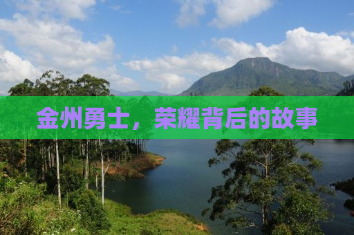 金州勇士，荣耀背后的故事