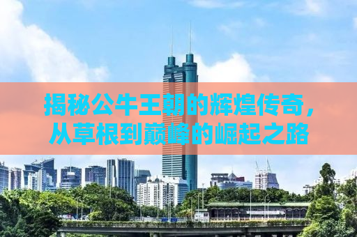 揭秘公牛王朝的辉煌传奇，从草根到巅峰的崛起之路