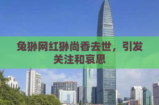 兔狲网红狲尚香去世，引发关注和哀思