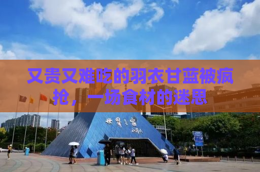 又贵又难吃的羽衣甘蓝被疯抢，一场食材的迷思