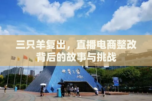 三只羊复出，直播电商整改背后的故事与挑战
